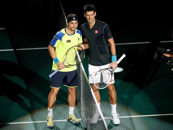 Paris 2013 Djokovic Defeated David Ferrer
